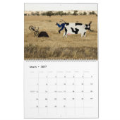 Animaux sur le calendrier des vélos 2013 (Mar 2027)