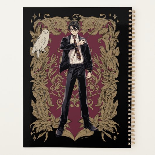 Anime HARRY POTTER™ Cadre Orné (Dos)