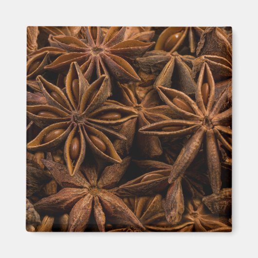 Anise Stars Pattern Magneet (Voorkant)