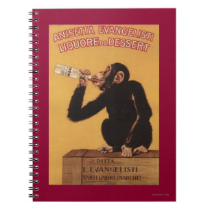 Anisetta Evangelisti likeur als dessertdrank Notitieboek