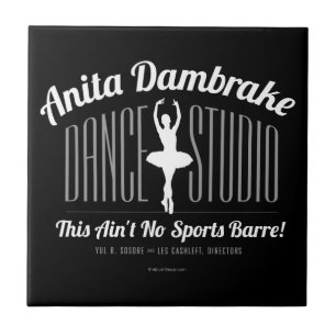 Anita Damremdance Studio Tegeltje
