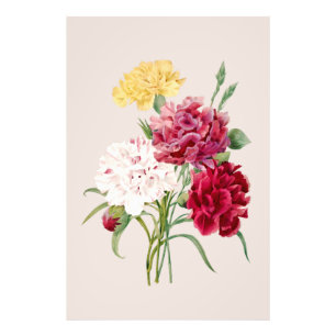 anjer bloemen print foto afdruk