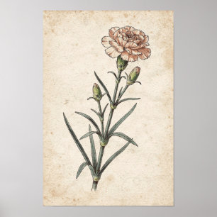 Anjer botanische print