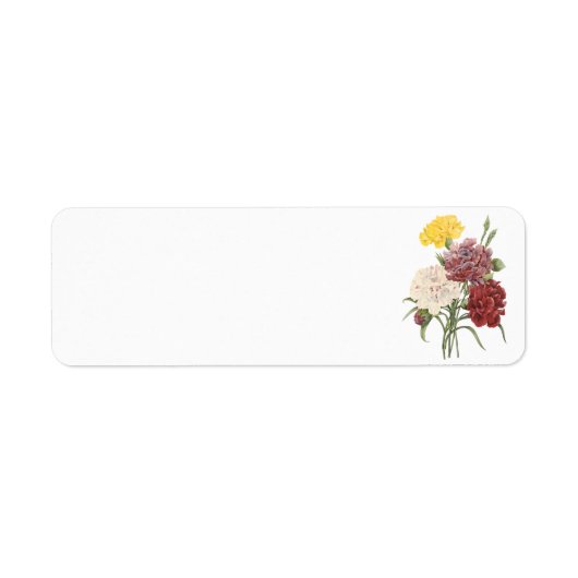 anjer (Dianthus sp.) van Redouté Etiket (Voorkant)