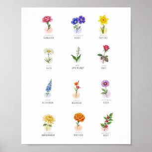 Anjer Muur Kunst Waterverf Januari Geboortebloem Poster