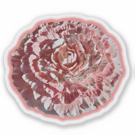 Anjer Sticker (Voorkant)