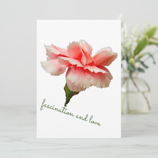 anjerbloem. Fascatie en liefde. Kaart (Staand voorkant)