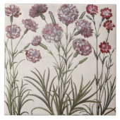 anjers: 1.Caryophyllus flore majore; 2. Caryop Tegeltje (Voorkant)