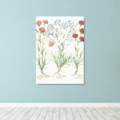 anjers: 1.Caryophyllus multiplex lore albo; 2 Canvas Afdruk (Insitu (Houten vloer))