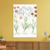 anjers: 1.Caryophyllus multiplex lore albo; 2 Canvas Afdruk (Insitu (Woonkamer))