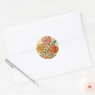 Anjers Antique Botanische Kunst Rood Geel Oranje Ronde Sticker