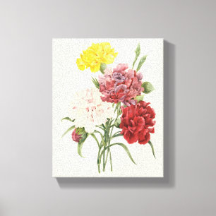  anjers Dianthus Garden Flowers Redoute Canvas Afdruk