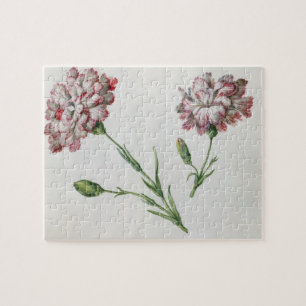 anjers (w/c op papier) legpuzzel