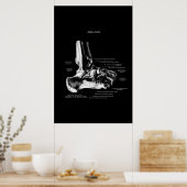 Ankle Joint Anatomy Orthopedic Decor Poster (Keuken)