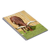 Ankole-Watusi graast Notitieboek (Rechterzijde)