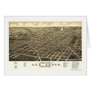 Ann Arbor, MI Panorama Map - 1880