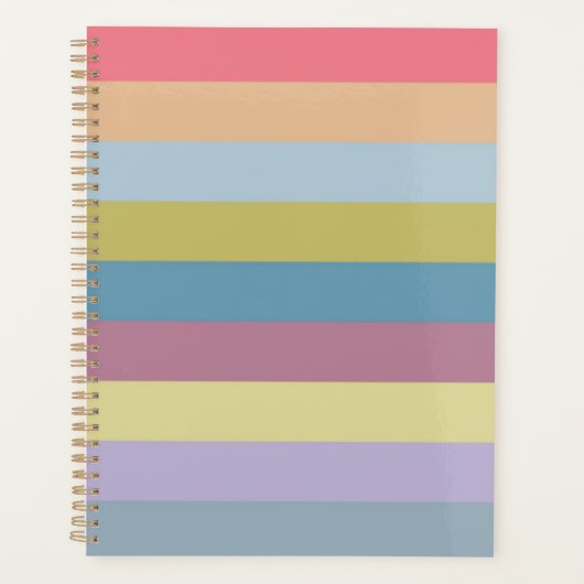 Ann Arbor Pastel Chalk Stripes Planner (Voorkant)