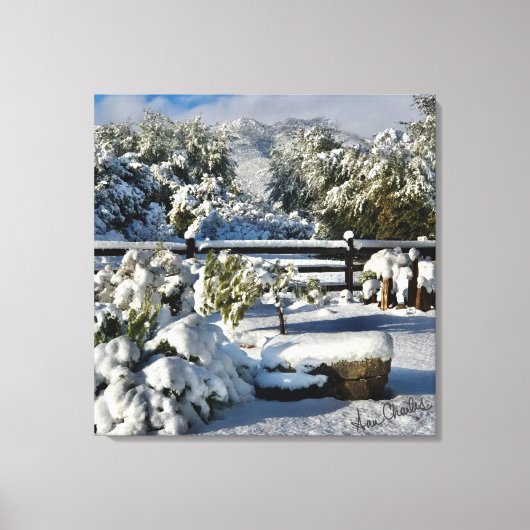 Ann Charles Snowy Day in Arizona Canvas Afdruk (Voorkant)
