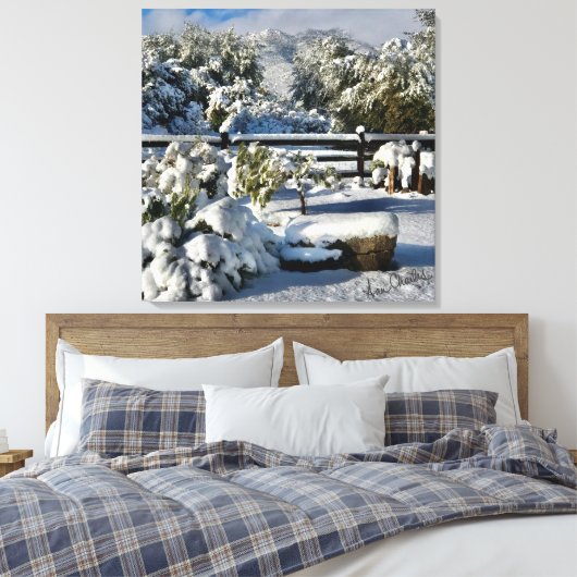 Ann Charles Snowy Day in Arizona Canvas Afdruk (Insitu (Slaapkamer))