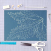 Anna Atkins Botanische Studie Tissuepapier (Craft)