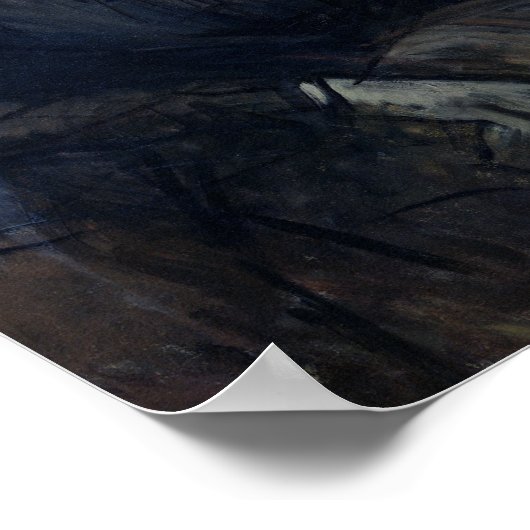 Anna de Noailles Poster (Hoek)