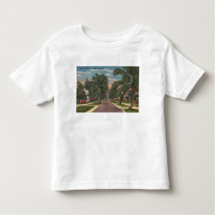 Anna Maria, Florida - Uitzicht van Palms Along Str Kinder Shirts