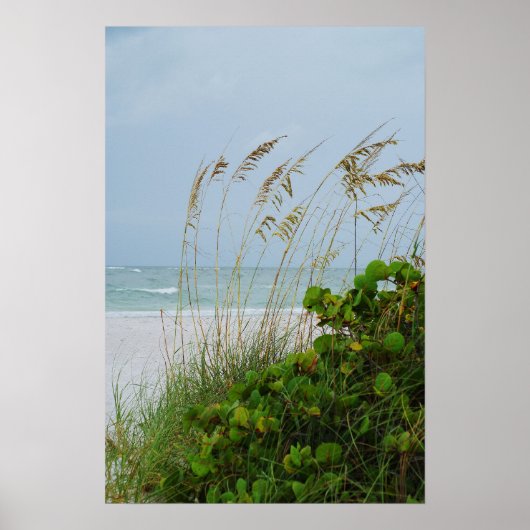 Anna Maria Island, Florida, strandplaats Poster (Voorkant)