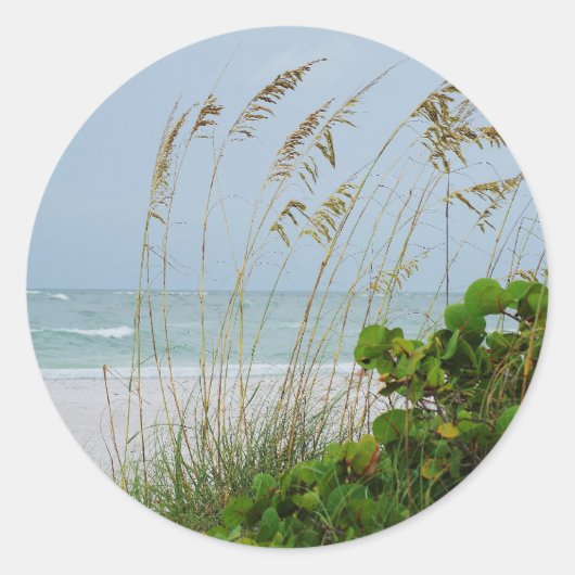 Anna Maria Island Ronde Sticker (Voorkant)