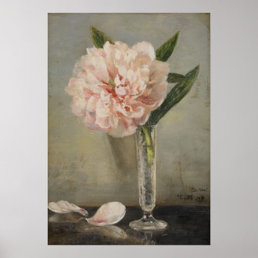 Anna Munthe-Norstedt leeft nog steeds met een pony Poster (Voorkant)