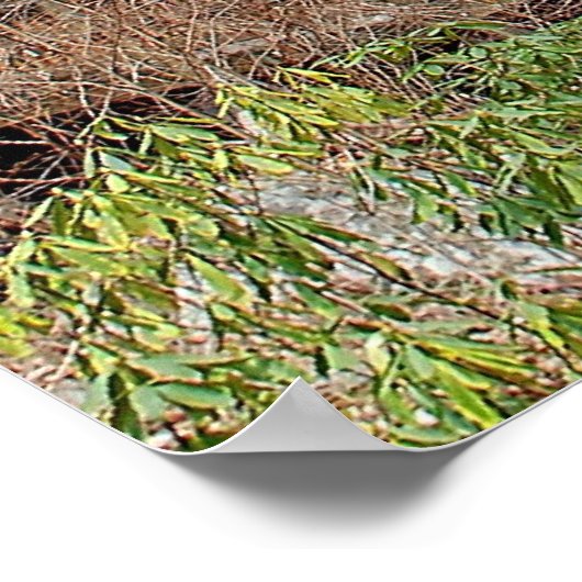 Anna Ruby Herfsten Poster (Hoek)