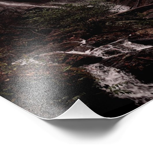 Anna Ruby Herfsten, York Creek Foto Afdruk (Hoek)