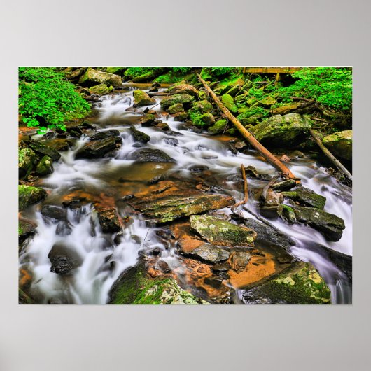 Anna Ruby Tumbles, Poster (Devant)