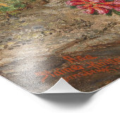 Anna Stainer-Knittel  Alpenbloemen Foto Afdruk (Hoek)