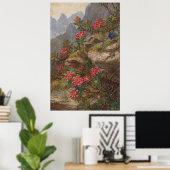 Anna Stainer-Knittel  Alpenbloemen Poster (Thuiskantoor)