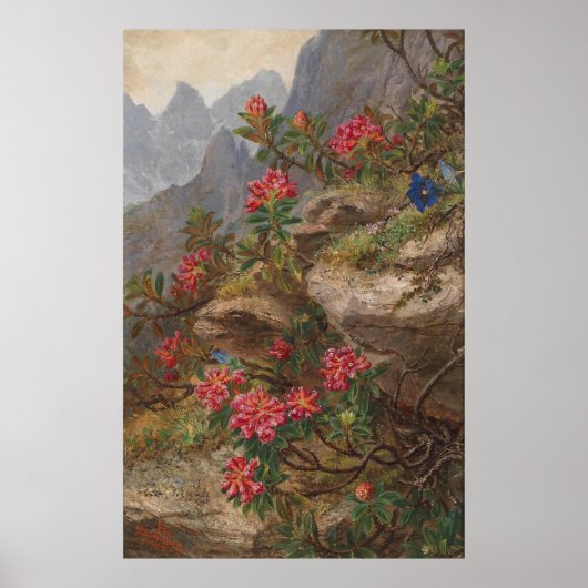Anna Stainer-Knittel  Alpenbloemen Poster (Voorkant)