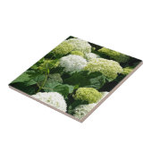 Annabelle Hydrangea Blossom Tegeltje (Zijkant)