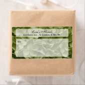 Annabelle Hydrangea Floral Shipping Étiquette (En situation)