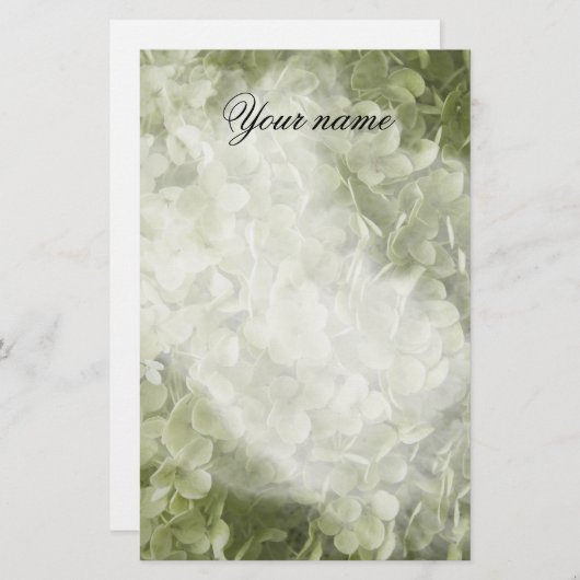 Annabelle Hydrangea Flower Briefpapier (Voorkant / Achterkant)