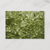 Annabelle Hydrangea Wedding Website Kaart (Achterkant)