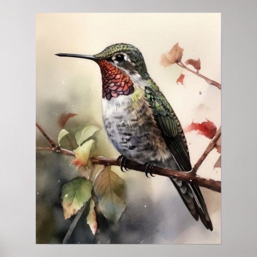 Anna's Hummingbird Bird Art Print Poster (Voorkant)