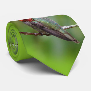 Anna's Hummingbird: Deze koning draagt een roze kr Stropdas