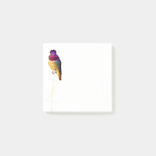 Anna's Hummingbird Foto 3x3 Notitieblok Post-it® Notes