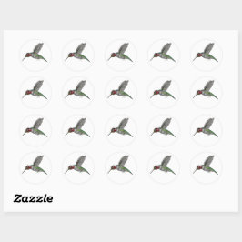Anna's Hummingbird in vlucht Ronde Sticker