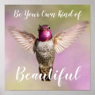 Anna's Hummingbird Inspirerend Beauty Poster