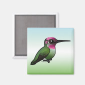 Anna's Hummingbird Magneet (Voorkant / Achterkant)
