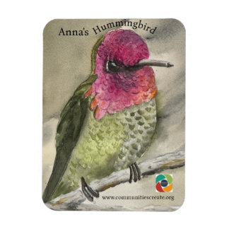 Anna's Hummingbird magneet