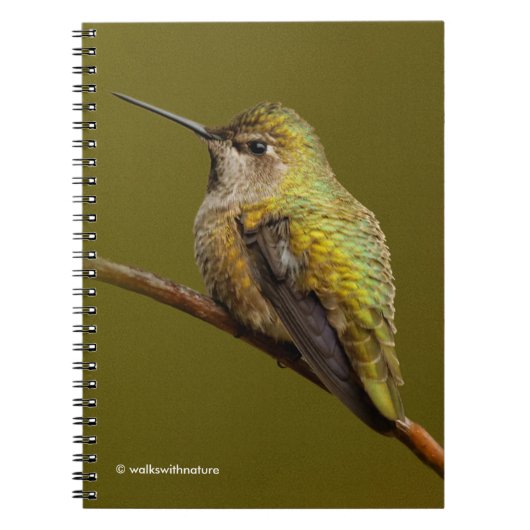 Anna's Hummingbird op Scarlet Trumpetvine Notitieboek (Voorkant)