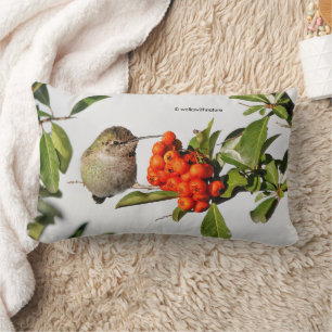 Anna's Hummingbird Poses met de Pyracantha Kussen