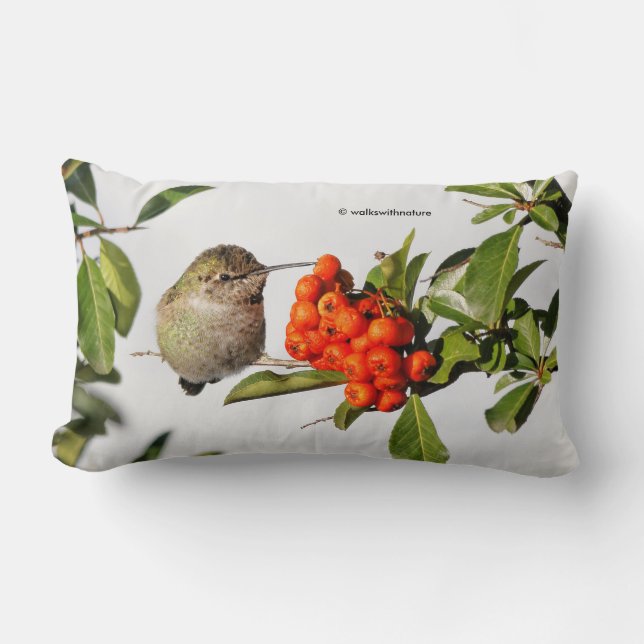 Anna's Hummingbird Poses met de Pyracantha Kussen (Voorkant)