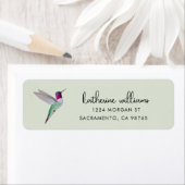 Anna's Kolibrie Label (Insitu)
